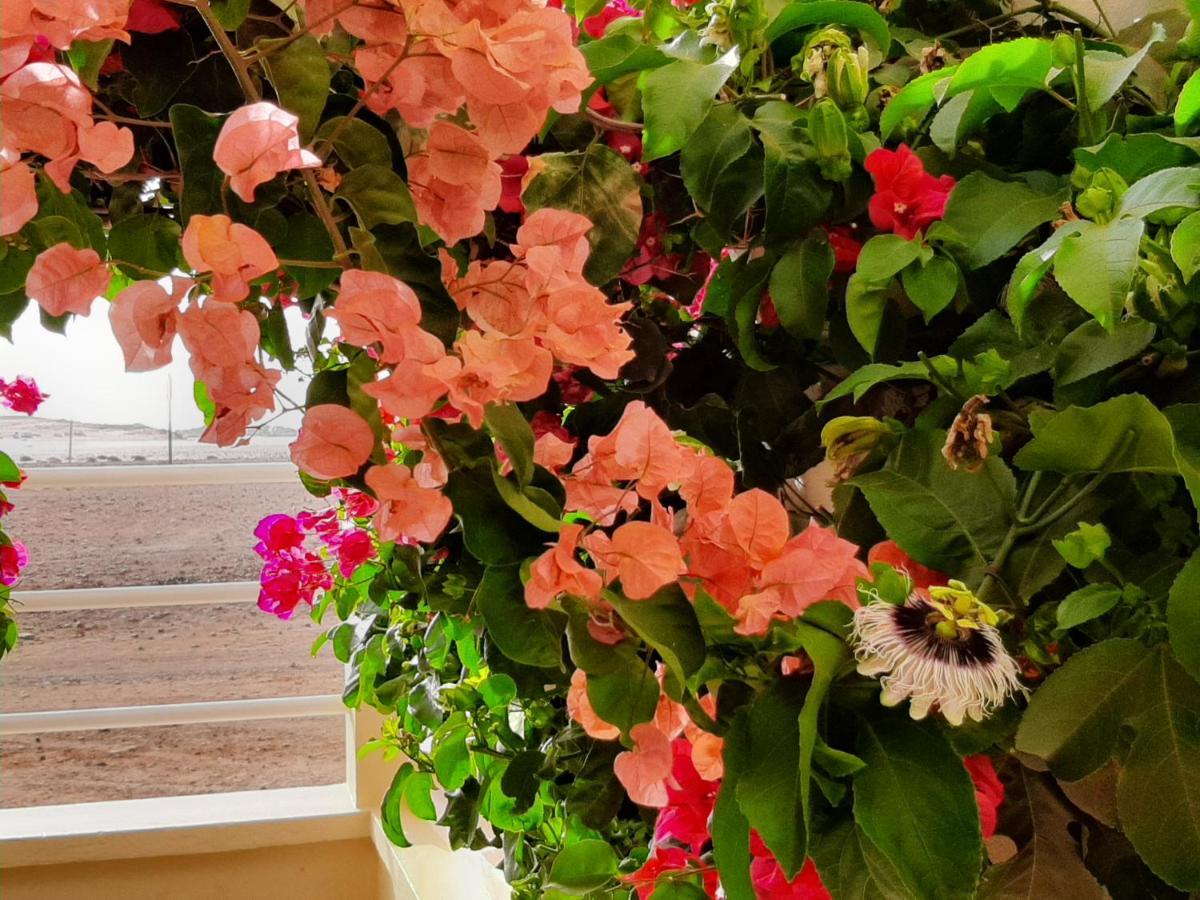 Terra Kriola Aparthotel Sal Rei Exteriör bild
